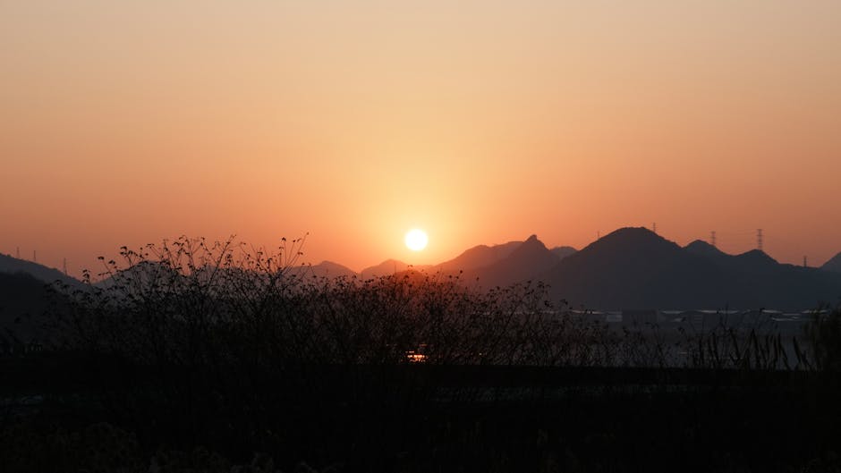 夏日清晨阳光风景