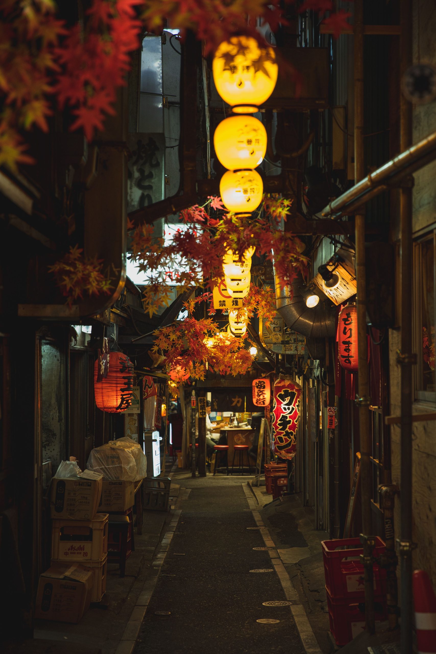 记账本和手机