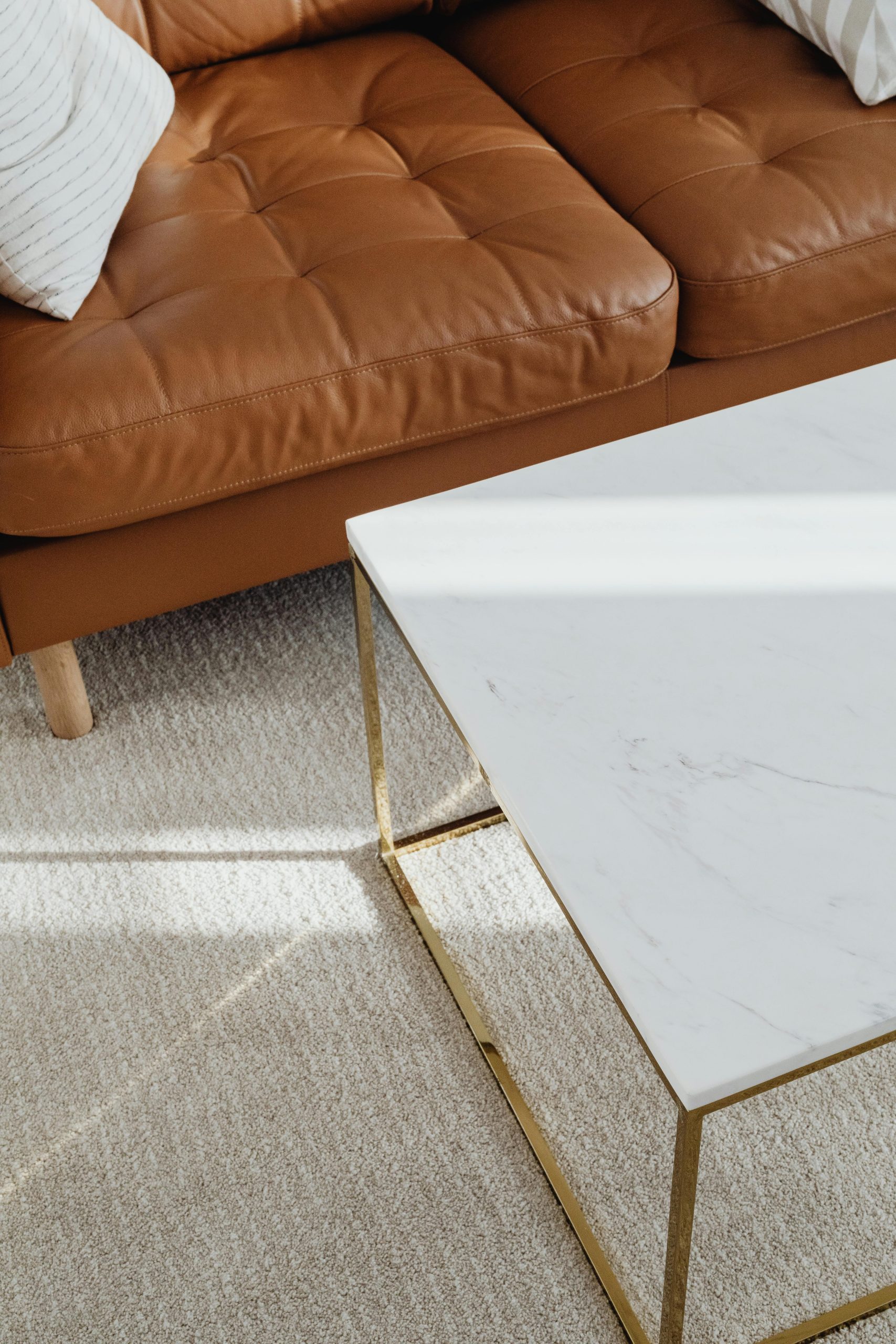 leather sofa cleaning