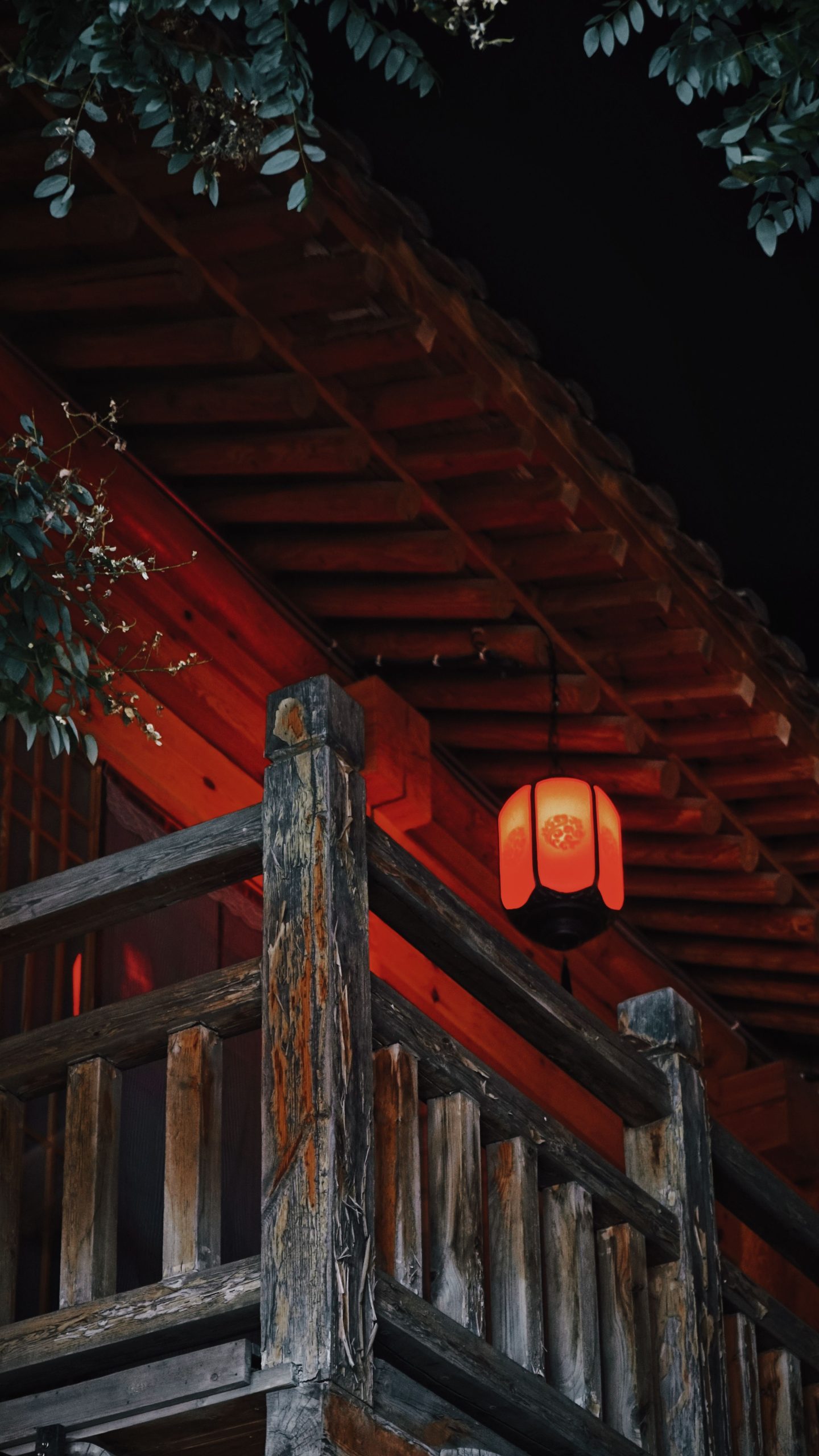 三伏天夜里醒来
