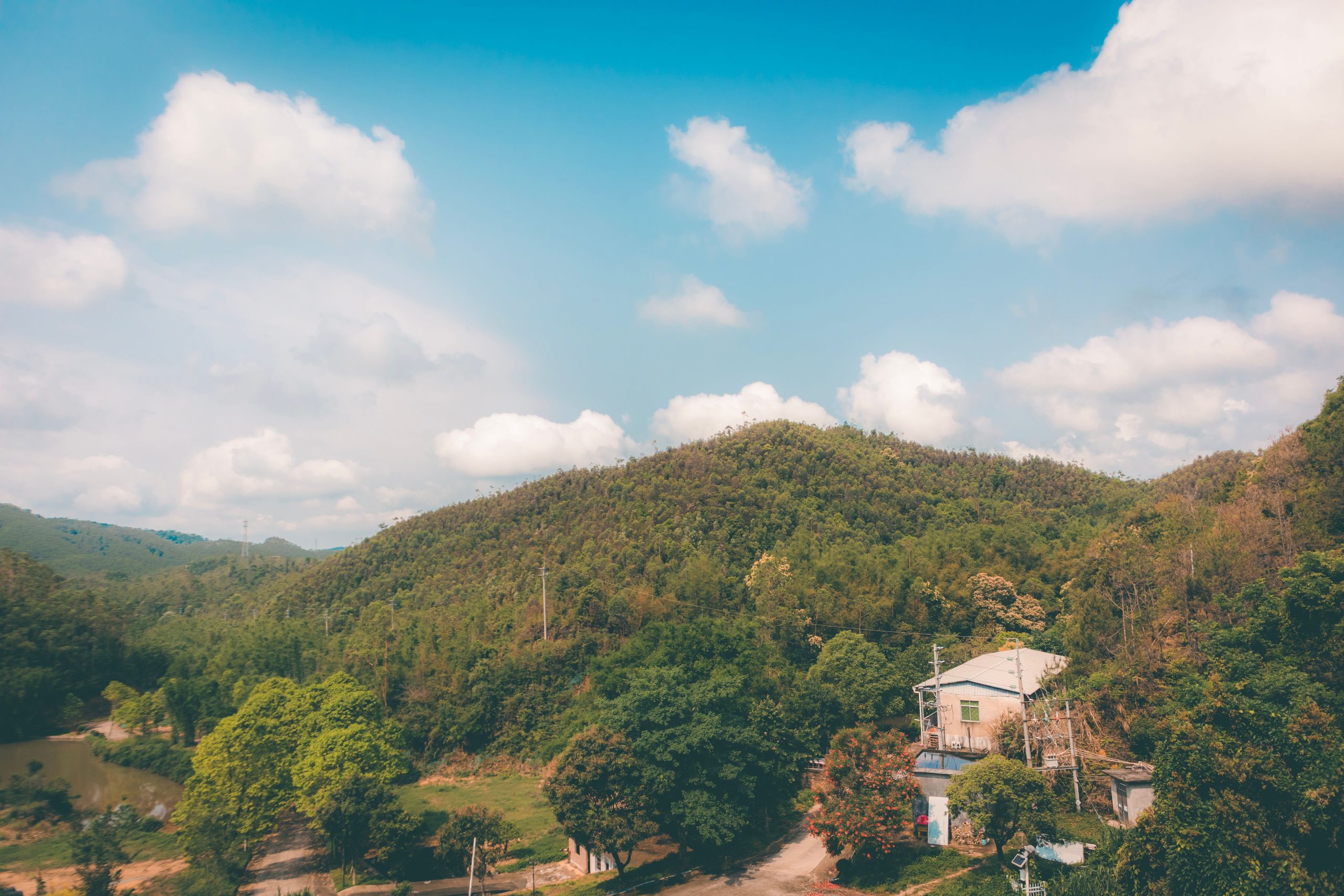 艾灸,中伏养生